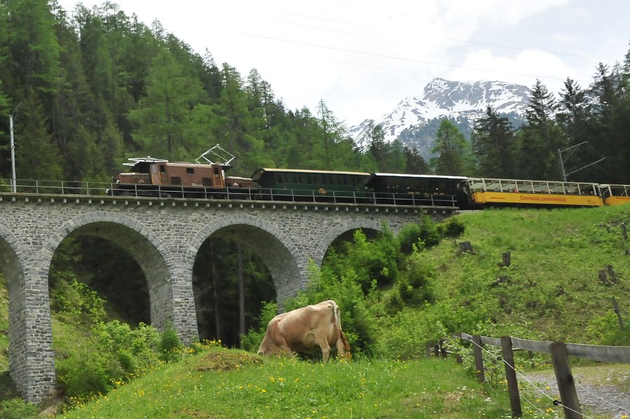 2019.06.11 RhB Ge 6-6 I 414 Albulabahn Krokodil Bahnfest Bergün (27)